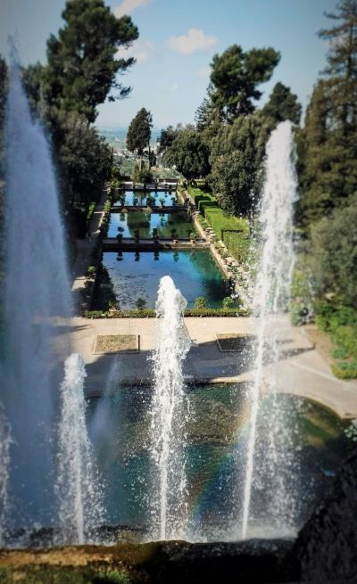 the-fish-ponds-seen-from-behind-the-fountain-of-neptune
