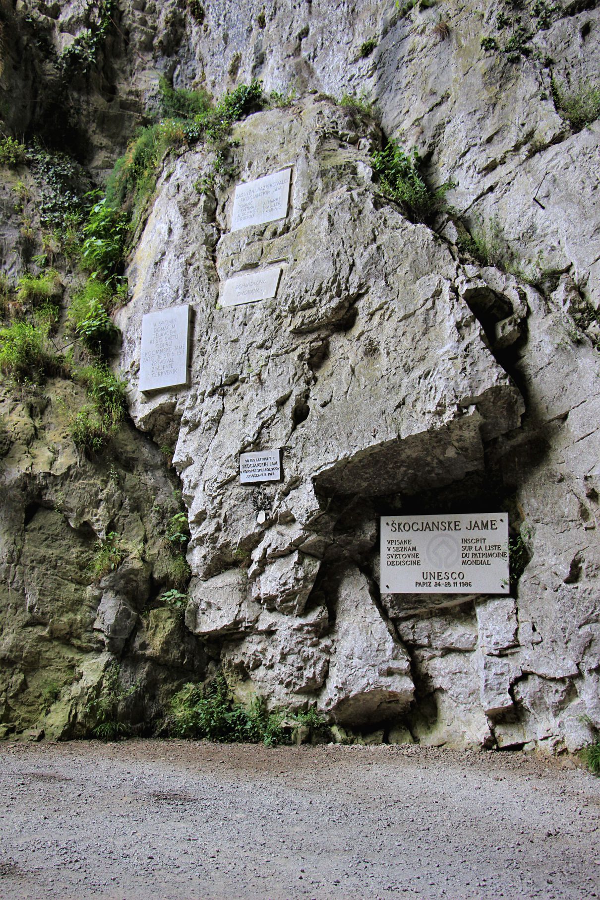 Skocjan caves (2)