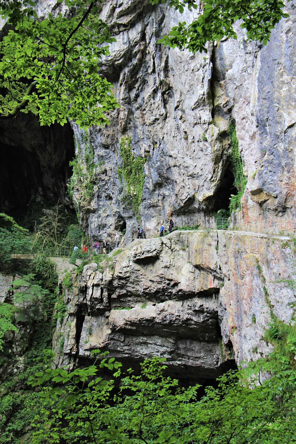Skocjan caves (3)